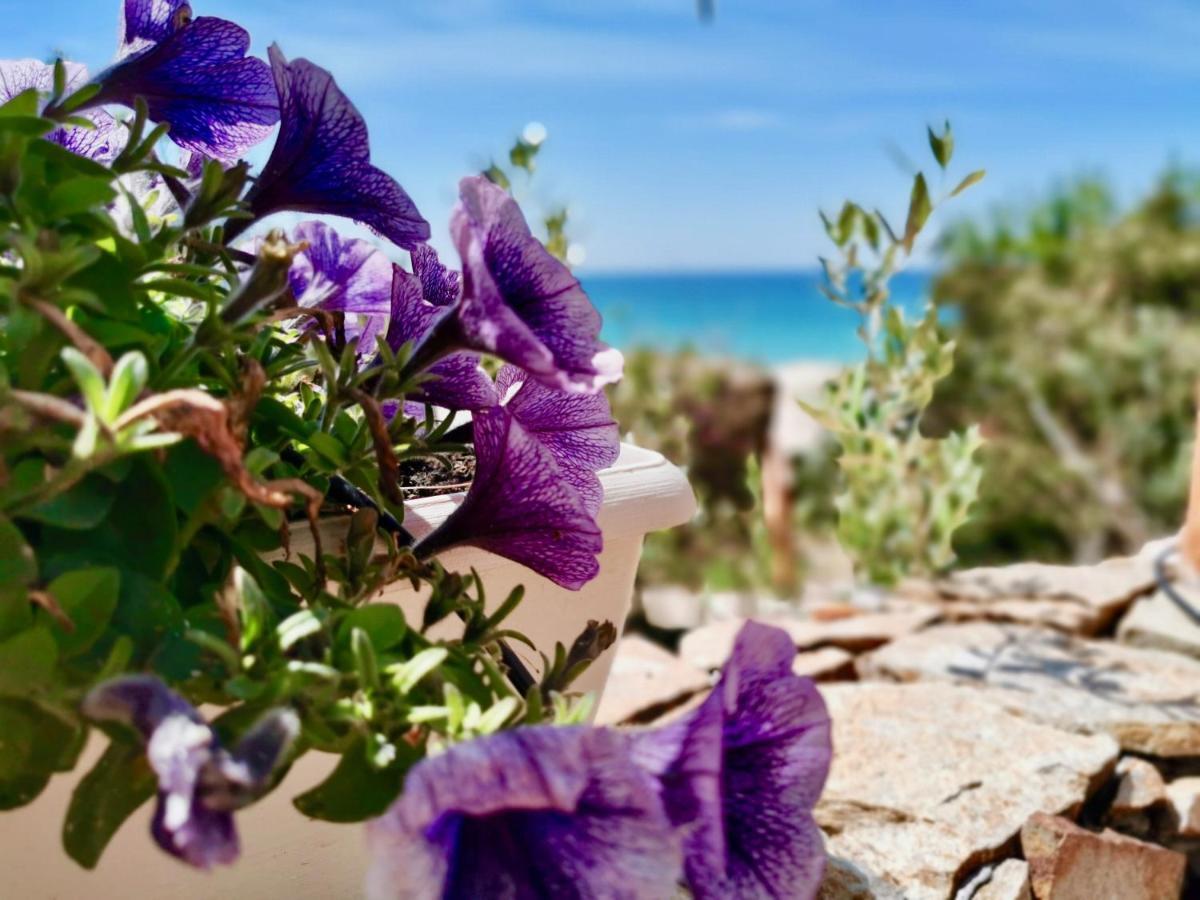 Beachfront House Geremeas Sardegna Apartment Bagian luar foto